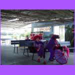 Red Hat Ladies 2.jpg